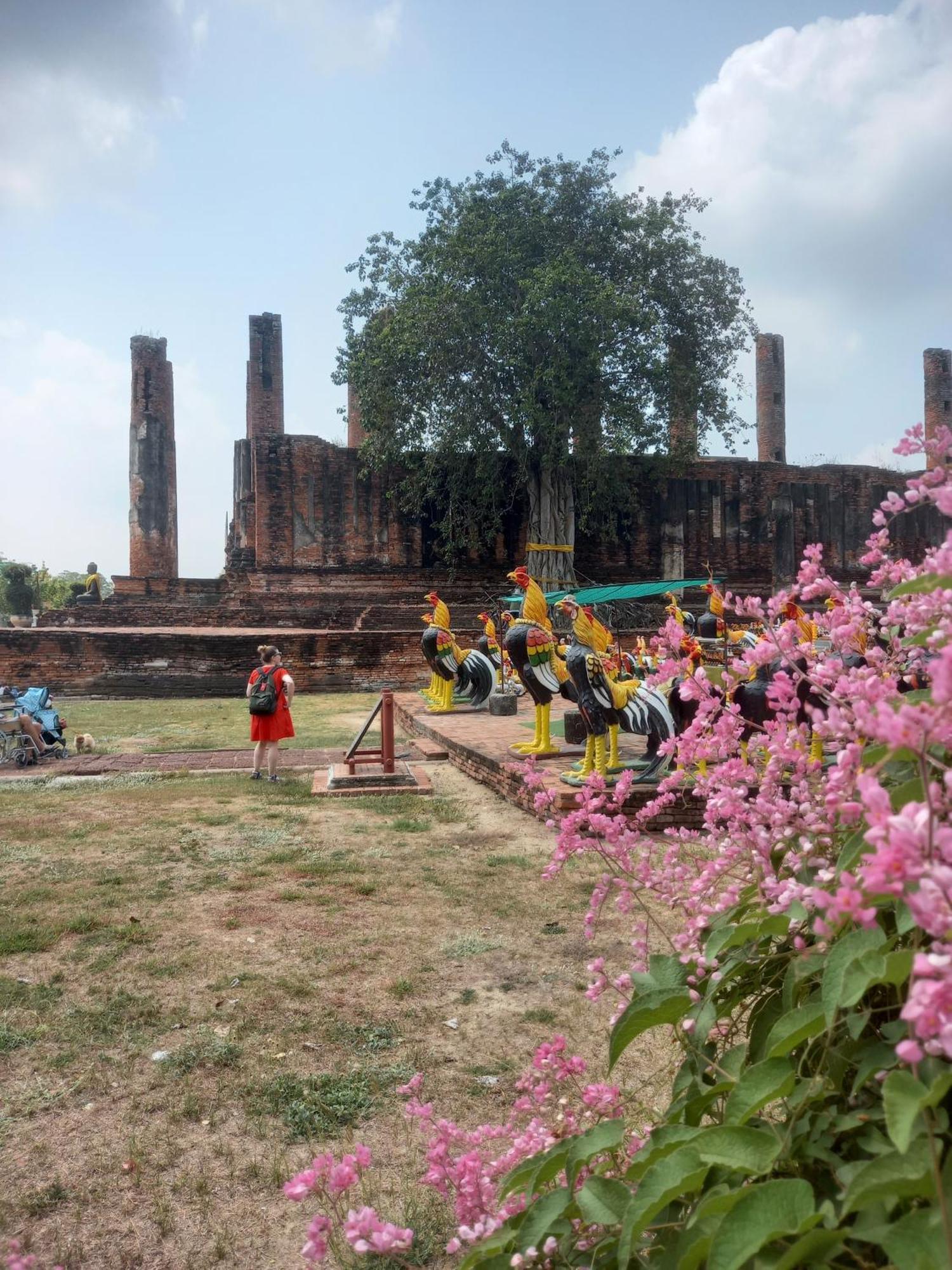 Plus Hostel Ayutthaya Екстер'єр фото